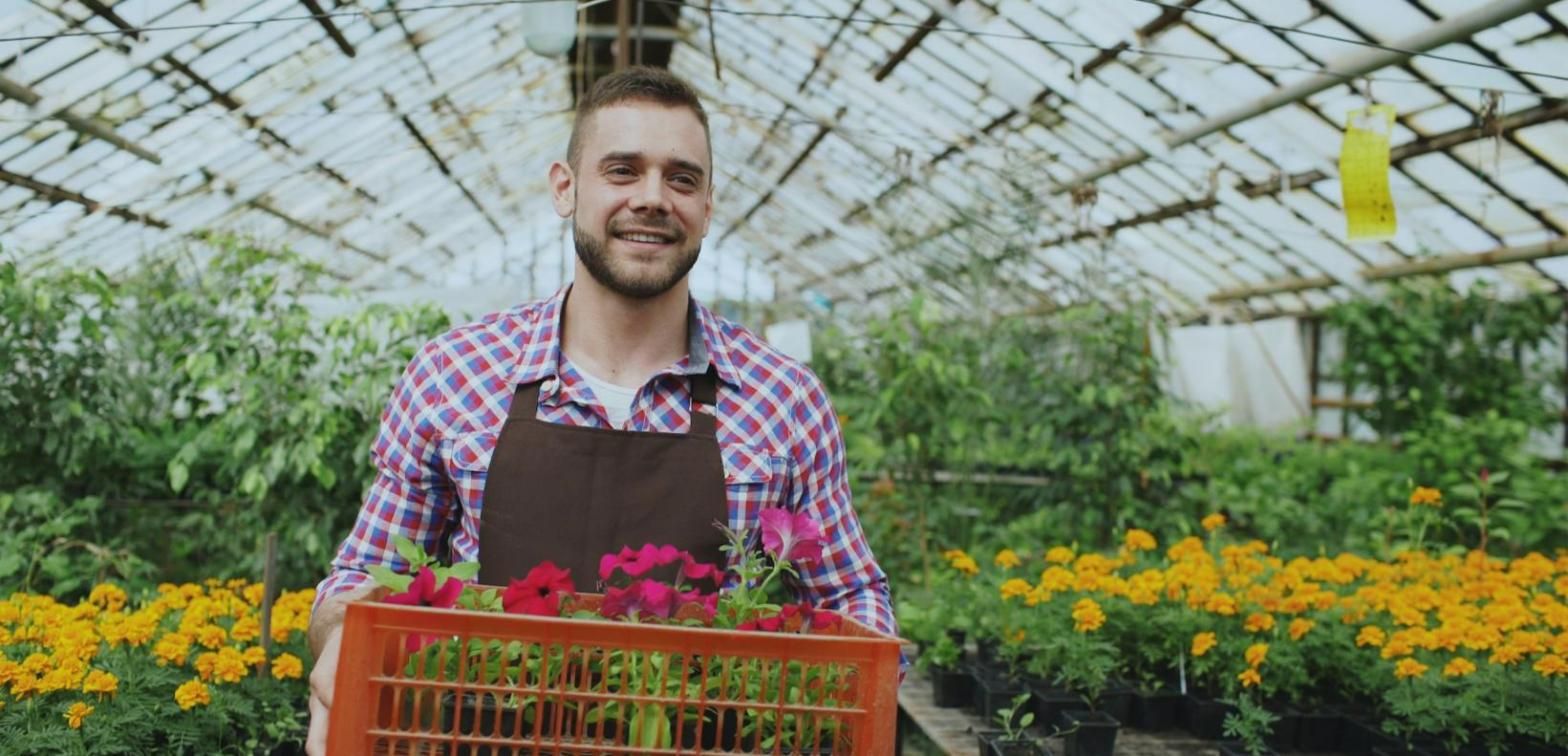 Productor sonriendo con una caja de plantas en un invernadero
